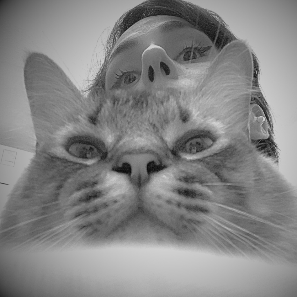 Gracias por suscribirte